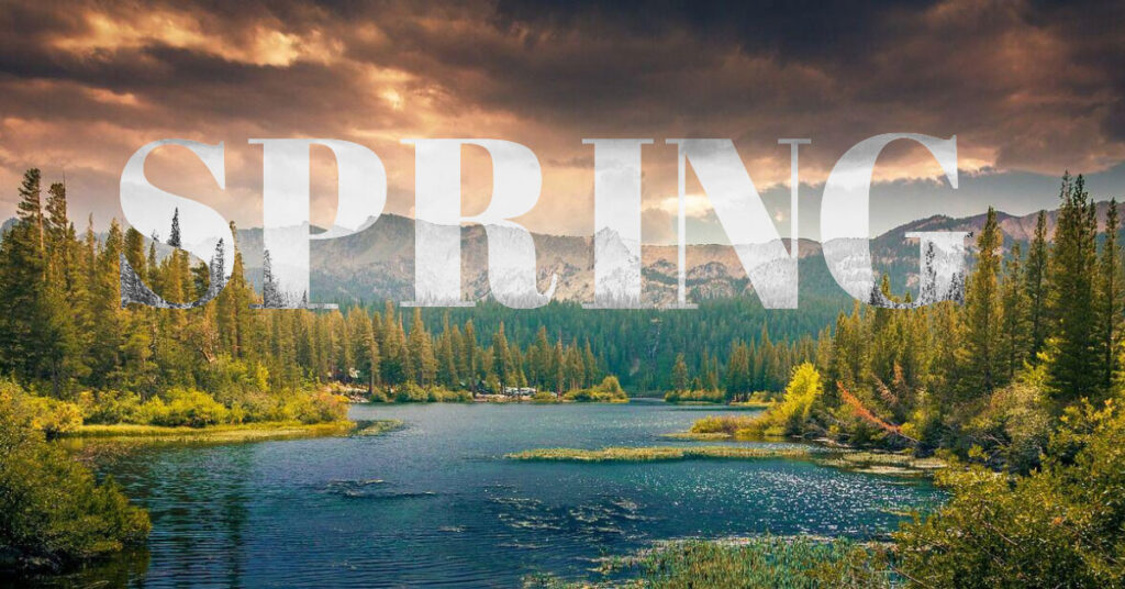 Spring Awakening